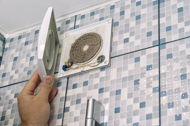 Best HVAC Duct Inspection Services  in Knoxvle, IL