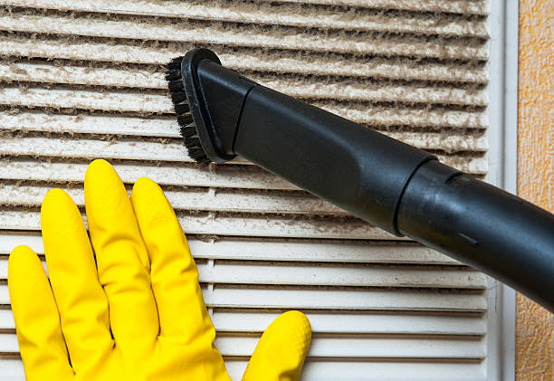 Best Dryer Vent Cleaning Services  in Knoxvle, IL